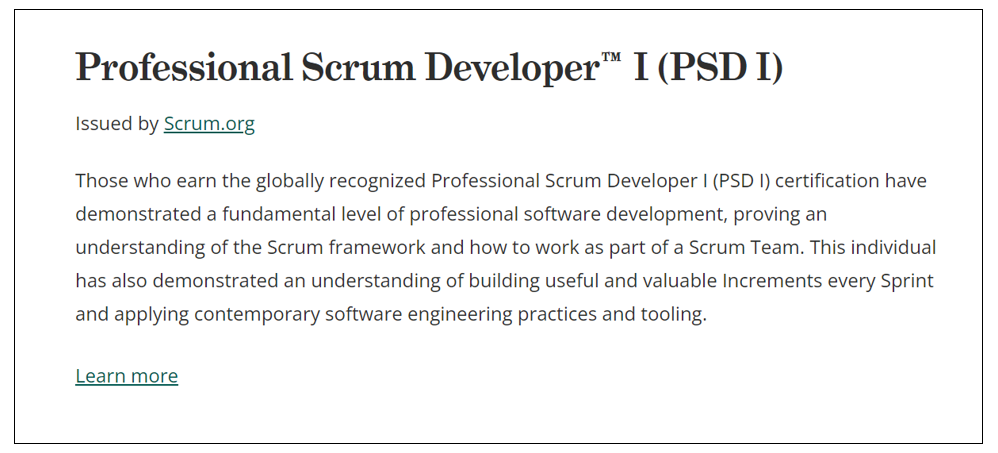 Agile Scrum Developer